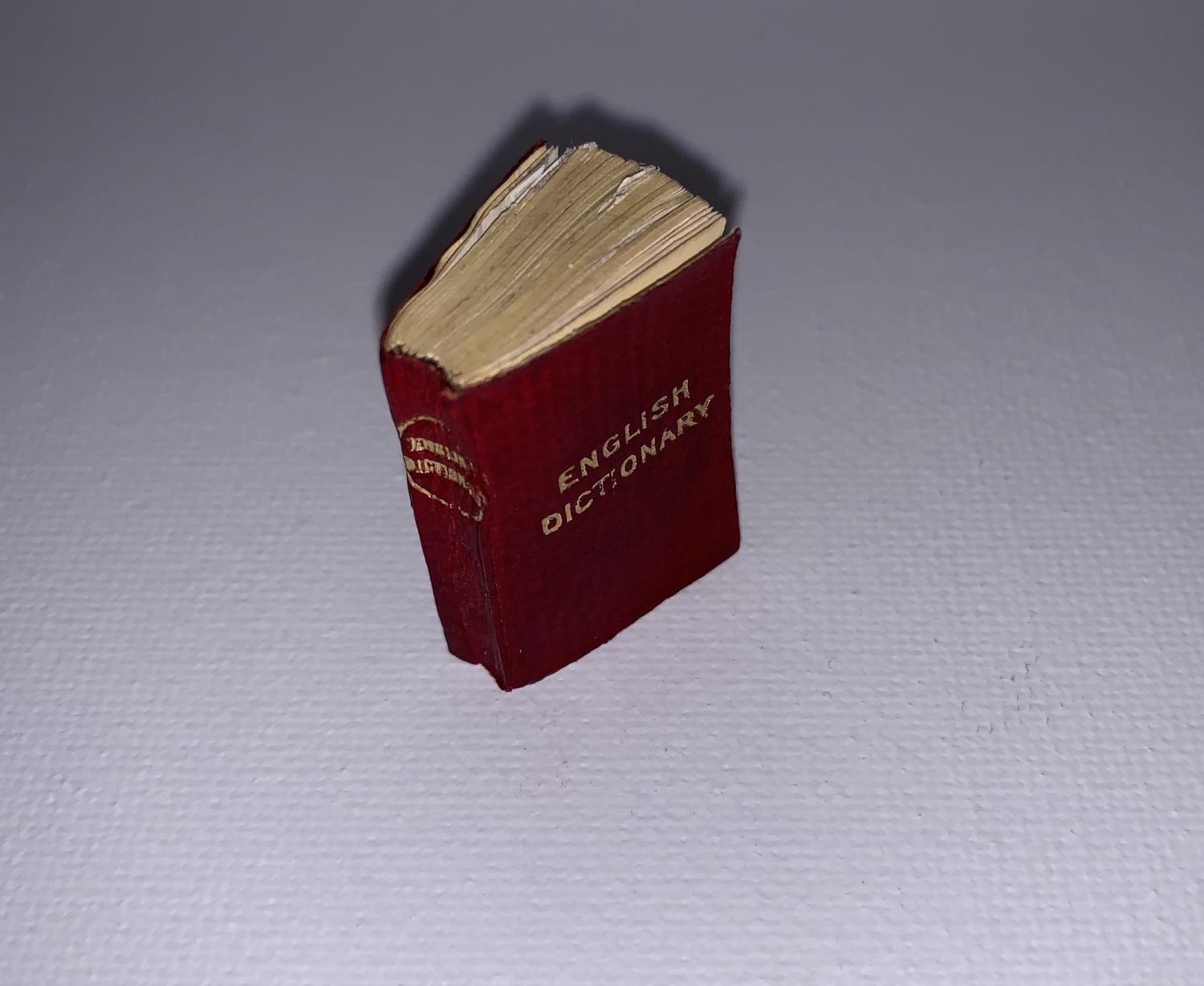 Zantiques.co.uk: Bryce Miniature Dictionary - Smallest English ...